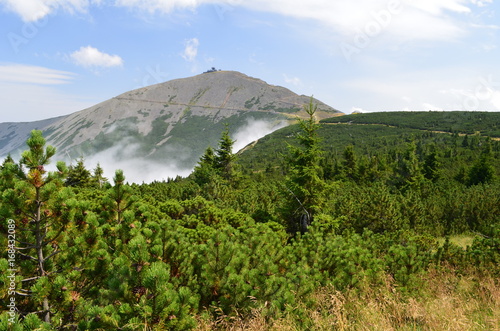 Fototapeta Śnieżka  sniezka-latem-karkonosze-the-sniezka-mountain-in-summer-the-karkonosze-mountains-lower
