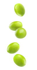 Poster - Isolated falling olives. Five green olive fruits in the air isolated on white background with clipping path