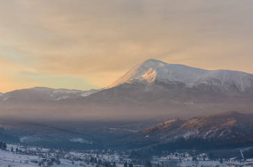 pine tree in winter at sunset in the mountains.