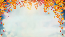Beautiful Autumn Foliage Background With Brunches And Falling Tree Leaves At Sky  With Bokeh