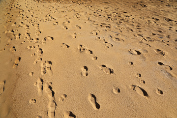 Footprints in sand