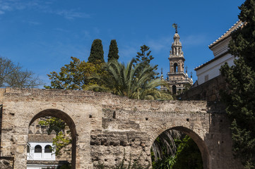 Spagna: la torre della Giralda, campanile della Cattedrale di Siviglia costruito come minareto nel periodo moresco, vista dalle mura della Porta del leone dell'Alcazar