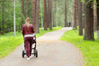 Молодая мама с детской коляской гуляет в летнем парке