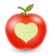 Love Heart Apple Vector