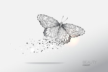 Abstract Vector Illustration Of Butterfly Moving.