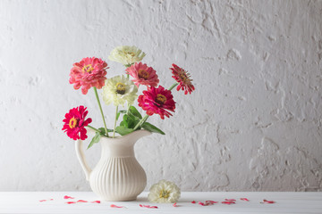 zinnia flowers on white background