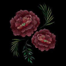 Peacock Feather And Red Rose. Traditional Folk Stylish Stylish Floral Embroidery On The Black Background. Sketch For Printing On Clothing, Fabric, Bag, Accessories And Design. Vector, Trend