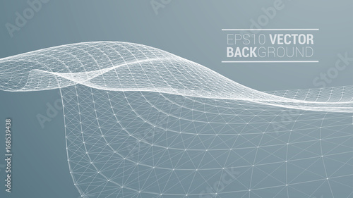 Fotomural Wireframe polygonal landscape