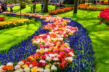 Wall Mural - Blooming flowers in Keukenhof park in Netherlands, Europe.