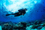 Fototapeta Fototapety do akwarium - Scuba diver on coral reef