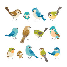 Set Of Cute Little Colorful Birds Isolated On White Background