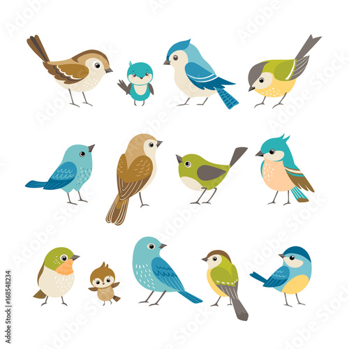 Fotografie, Obraz Set of cute little colorful birds isolated on white background