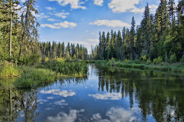 tranquil late afternoon at the trailhead to the hiking trail to grey owl's cabin at the mouth of was