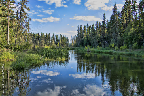 Tranquil Late Afternoon At The Trailhead To The Hiking Trail To