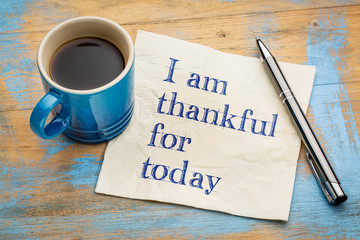 Wall Mural - i am thankful for today on napkin