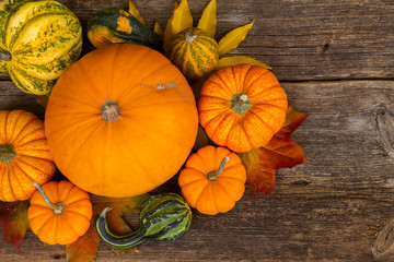 harvest of orange raw pumpkins harvest on table, top view