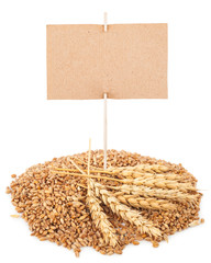 Wall Mural - wheat grain with tag