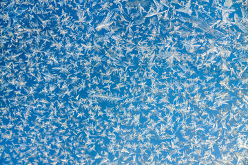 Canvas Print - abstract blue  a white background from frosty pattern at a frosted window.