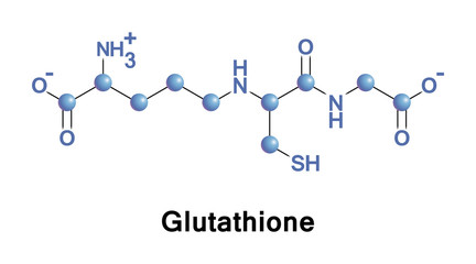 Canvas Print - Glutathione important antioxidant