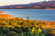 canvas print picture Arizona landscapes