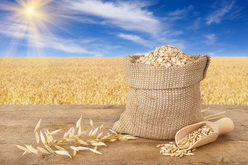 Wall Mural - oat flakes in bag on nature background