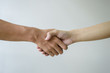 © proteebpor - shake hand