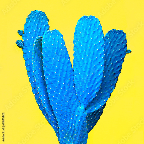 Fototapeta Cactus Art Gallery Fashion Design Minimal Blue Neon cactus Mood, Surrealism Trendy Colors Creative Style Fashion Concept, Yellow background
