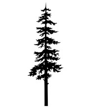 Vector Isolated Silhouette Of A Coniferous Tree. Can Be Used In Design, Illustration, Tattoo.