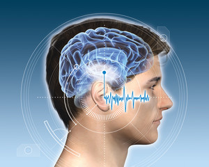 Wall Mural - Futuristic brain with marked auditory cortex and sound waves, medical illustration