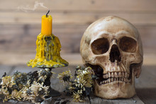 Skull And Candle With Candlestick With Dried Flowers On Brown Wooden Plate For Halloween Day