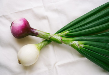 Fresh organic onion top view