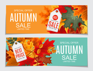 Canvas Print - Abstract Vector Illustration Autumn Sale Background with Falling