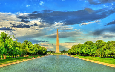 Wall Mural - Washington Monument on the National Mall in Washington, DC.