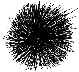 Wall Mural - chaotic hand drawn scribble sketch circle isolated
