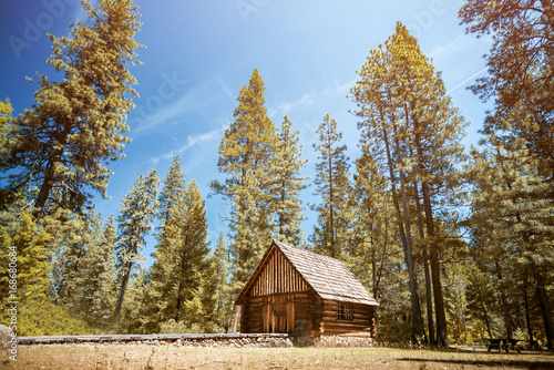Old Cabin In The Woods Burney Falls Ca Buy This Stock Photo
