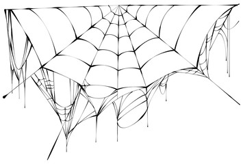 Wall Mural - black spiderweb on white background