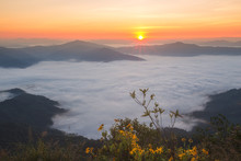 Sunrise Landscape Of Foggy And Cloudy Mountain Valley Doi Pha Tang Chiang Rai Thailand