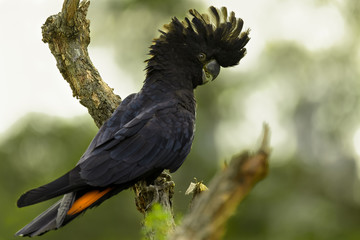 by thorsten spoerlein (www.thorstenspoerlein.com)