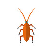 Brown cockroach icon