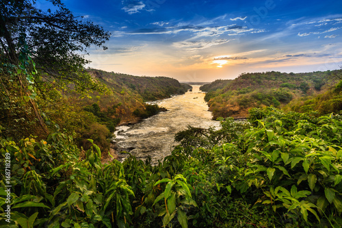 Fototapeta Nil - Murchison Falls NP - Uganda