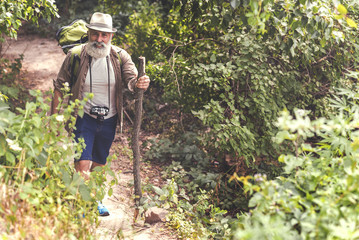 Wall Mural - Cheerful old man enjoying walk in forest