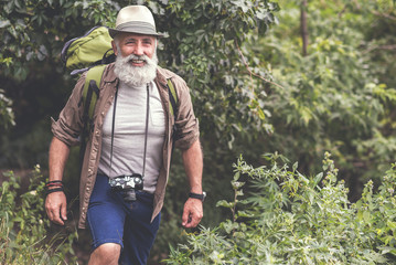 Wall Mural - Joyful senior man walking in woodland