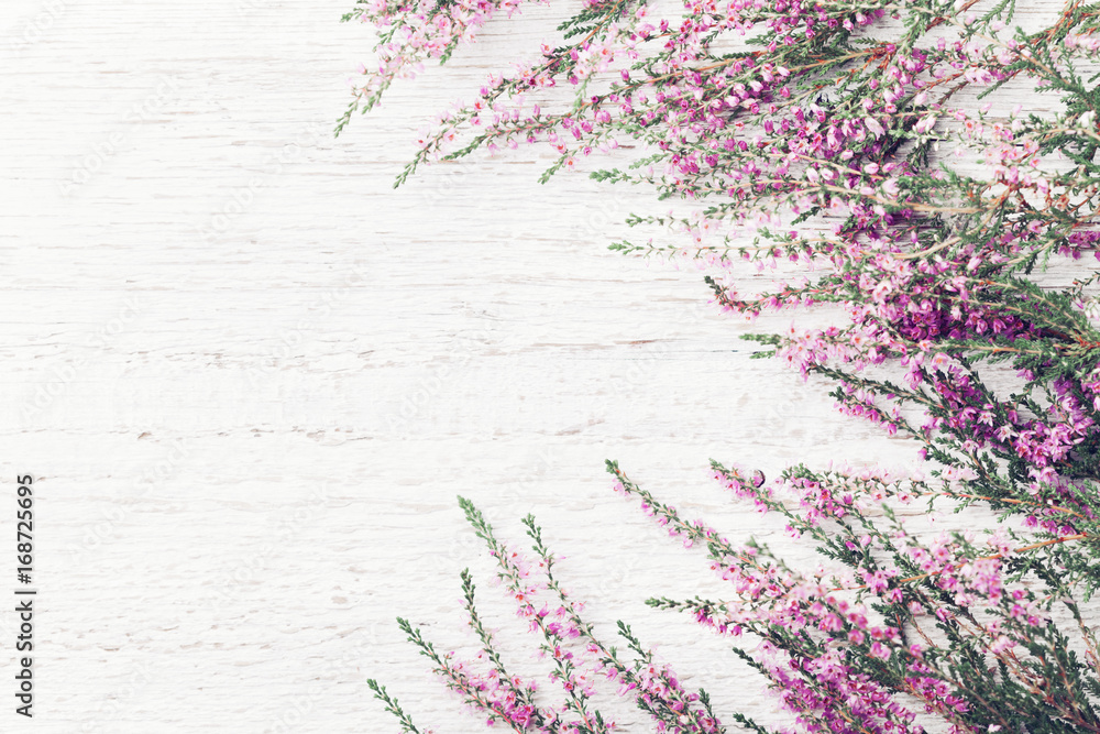 Beautiful pink flower heather frame (calluna vulgaris, erica, ling) on white rustic background top view. - obrazy, fototapety, plakaty 
