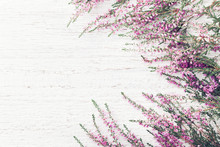 Beautiful Pink Flower Heather Frame (calluna Vulgaris, Erica, Ling) On White Rustic Background Top View.