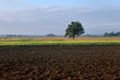 Agricultural landscape, arable crop field. Countryside landscape arable. Plowed soil in farmland.
