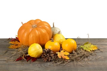 Wall Mural - Acorn squash.