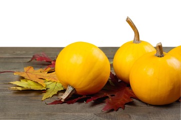 Wall Mural - Acorn squash.