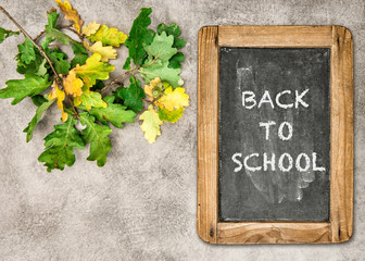 Canvas Print - back to school autumn background oak leaves chalkboard