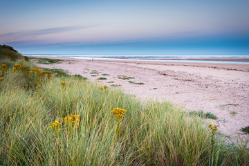 Wall Mural - river aln meets the north sea / the river aln meets the north sea at alnmouth on the northumberland 
