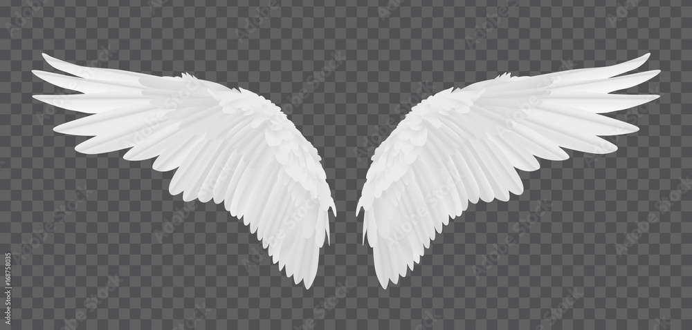 Vector realistic angel wings isolated on transparent background - obrazy, fototapety, plakaty 